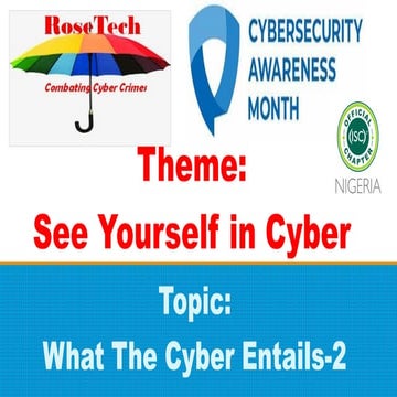 What The Cyber Entails-2.pdf