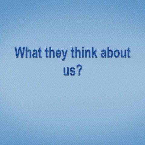 What they think about us | PPT
