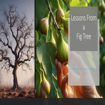 what time is it? lesson from a pig tree.pdf