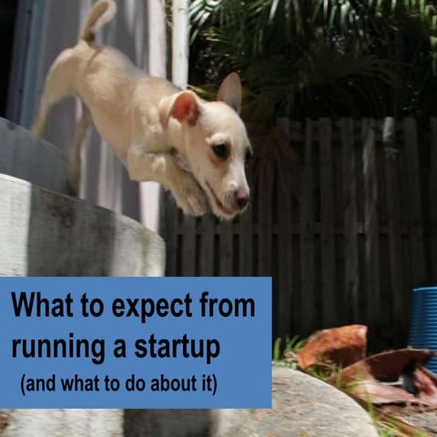 What to expect from running a startup