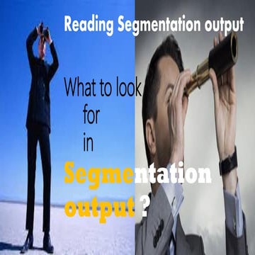 What to look for in segmentation output