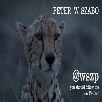 WhatUsersDo: Remote UX Testing