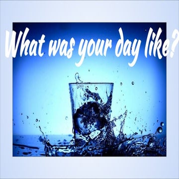 What was your day like?