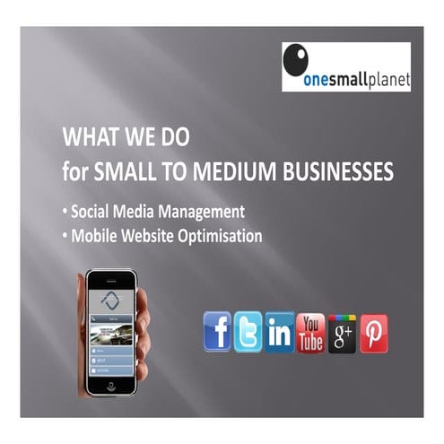 Small Planet Small | PDF