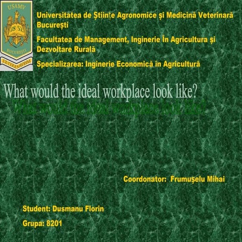 What would the ideal workplace look