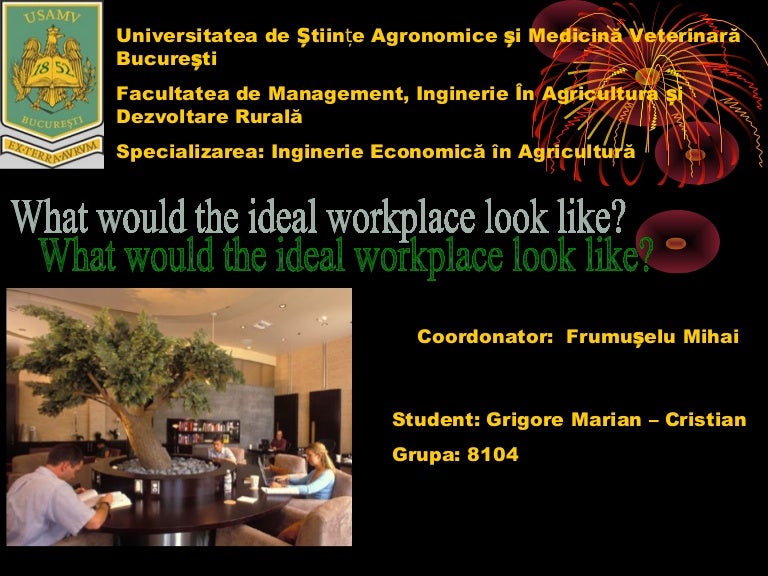 What would the ideal workplace look like?