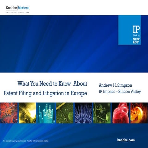 What You Need to Know About Patent Filing and Litigation in Europe