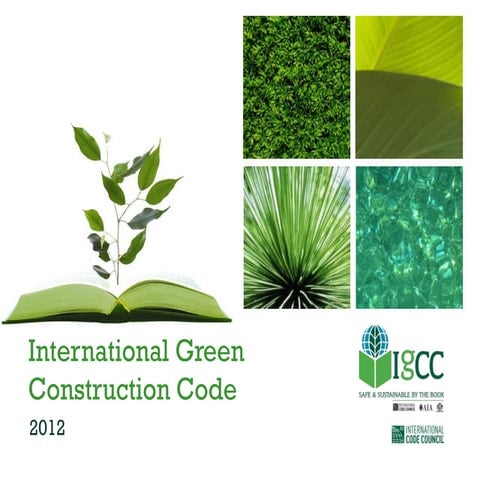 What you need to know about the IgCC