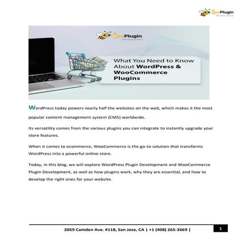 What You Need to Know About WordPress & WooCommerce Plugins.pdf