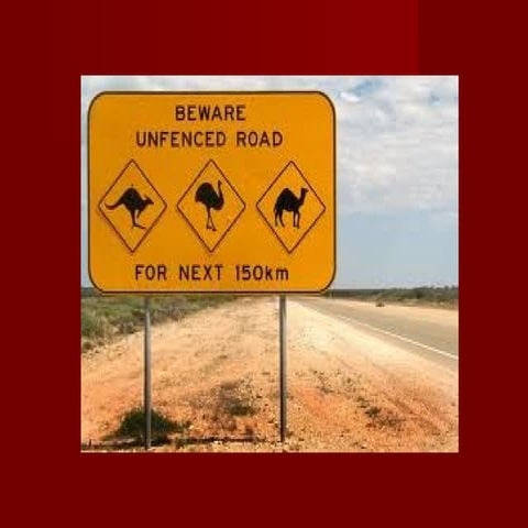 Thyroid hormone and the brain: understanding the effects of iodine deficiency on brain development