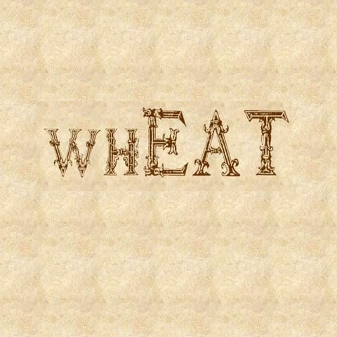 Wheat ...