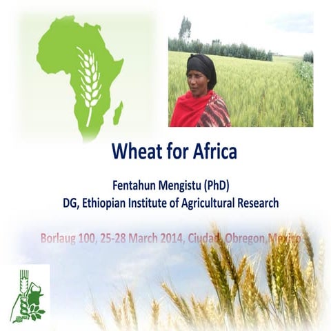 Wheat4 africa borlaug workshop final