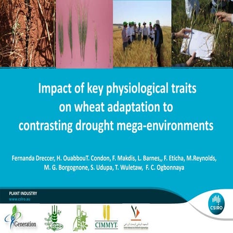 GRM 2013: Impact of key physiological traits on wheat adaptation to contrasti...