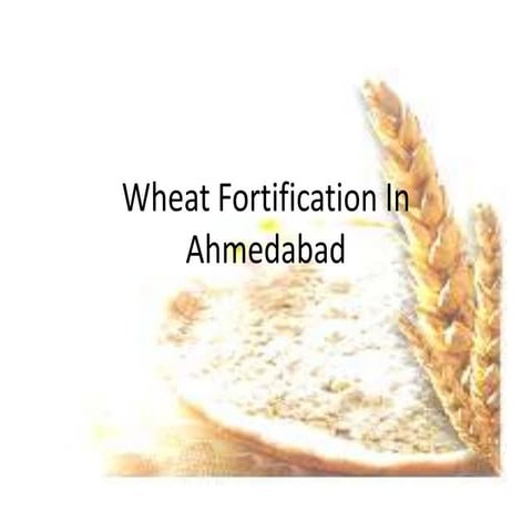 Wheat fortification in ahmedabad