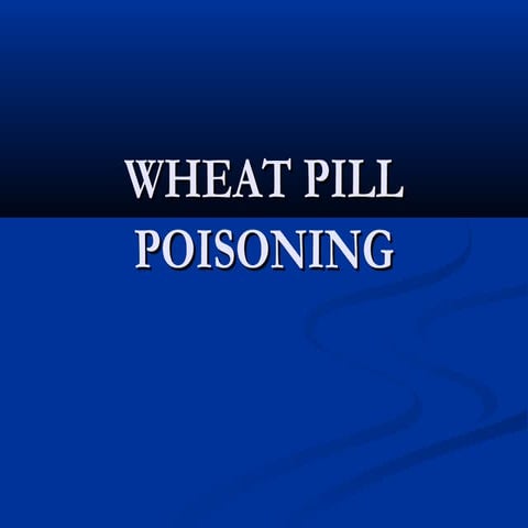 Wheat pill by dr sagheer part 2