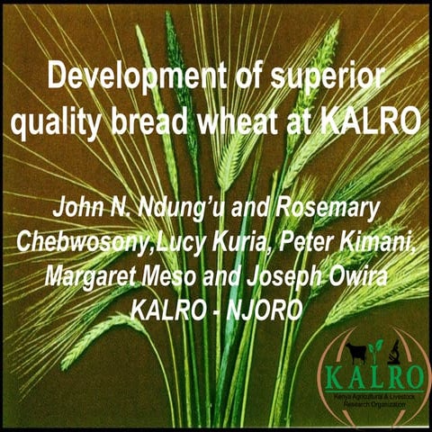 Wheat quality improvement in kenya final