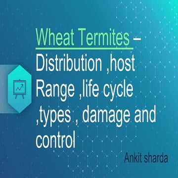 Wheat termites - Distribution ,host Range ,life cycle ,types , damage and con...