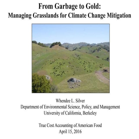 Whendee Silver - Soil