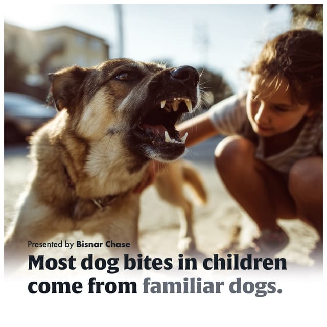 When Familiar Dogs Bite - The Hidden Risk to Children