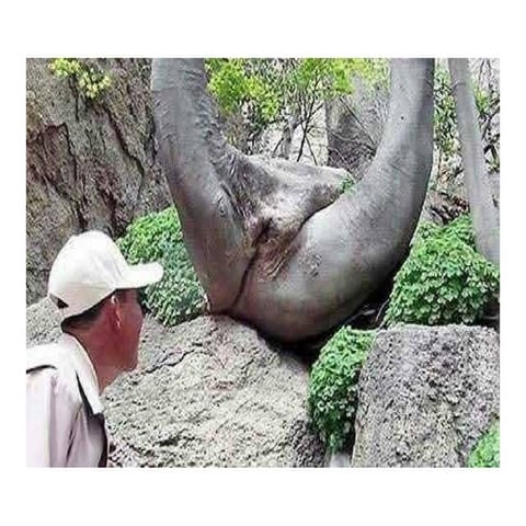 When Plants Grow Bad