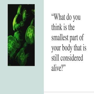 “When you hear the word life, what comes to your mind”.pptx