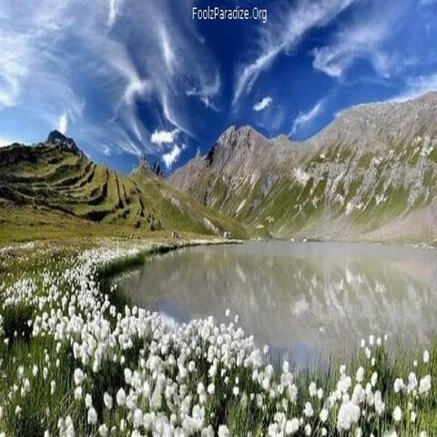 When You Smile Nature Smiles Back At You | PPT