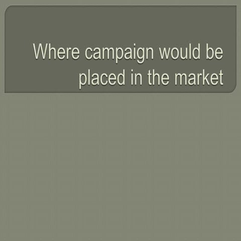 Where campaign would be placed in the market 