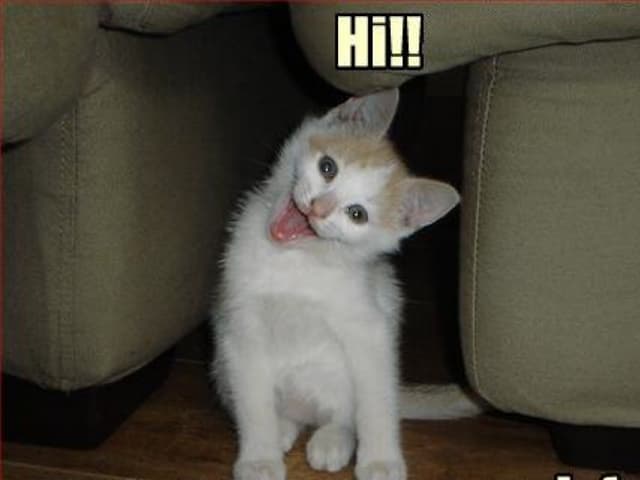 Wherecamp5280 2010 into