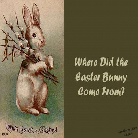 Where Did the Easter Bunny Come From?