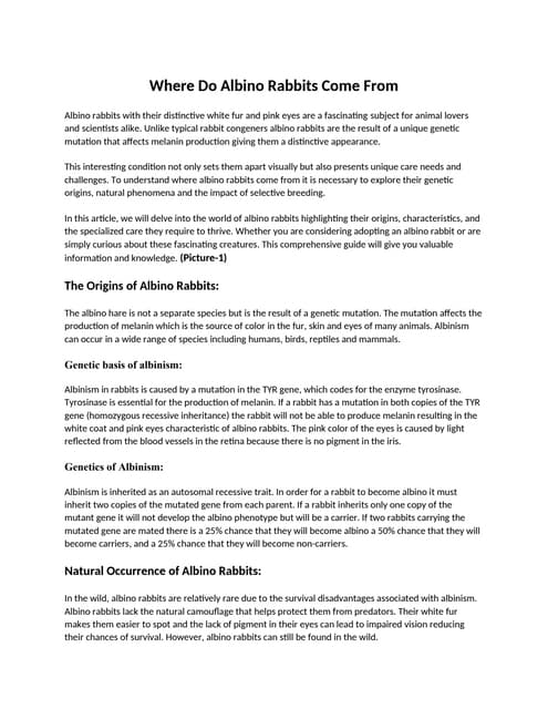 What is an Albino Rabbit: Physical Body of Albino Rabbit Breed | DOCX ...