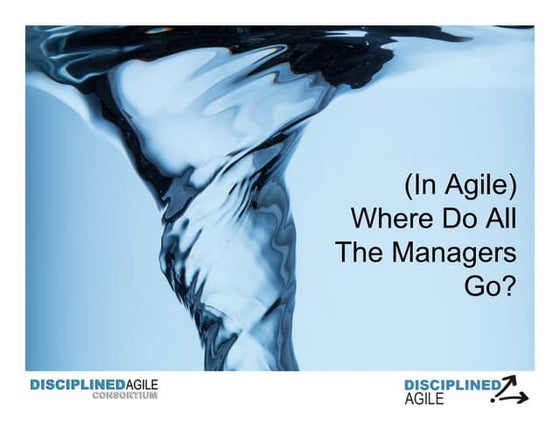 (In Agile) Where Do All The Managers Go?