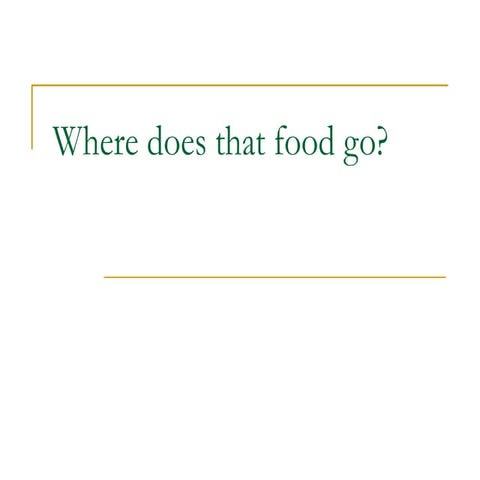 Where does that food go
