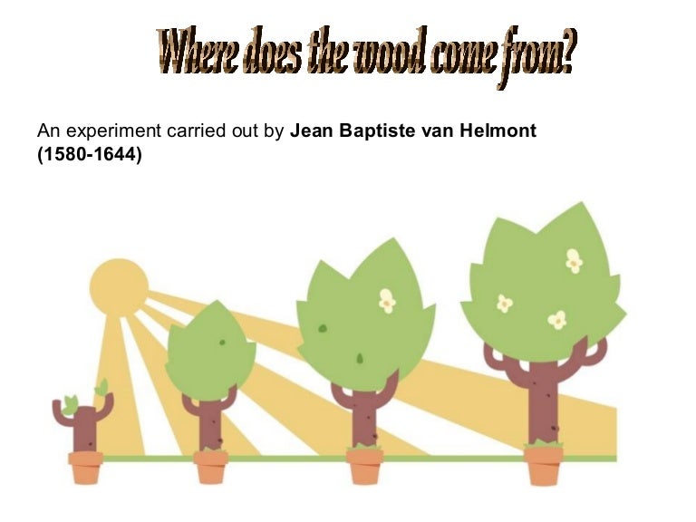 Where does wood come from