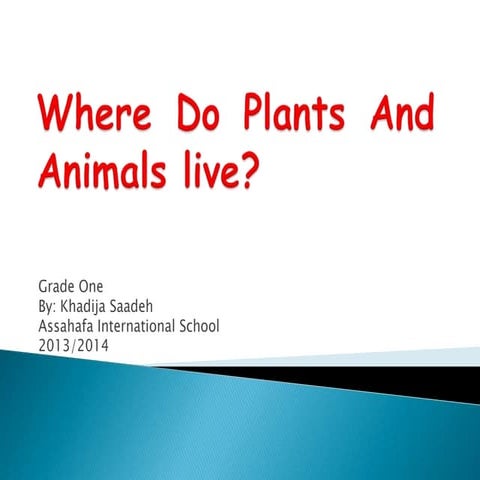 Where do plants and animals live (habitats)