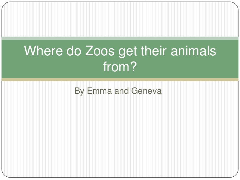 Where do zoos get their animals from