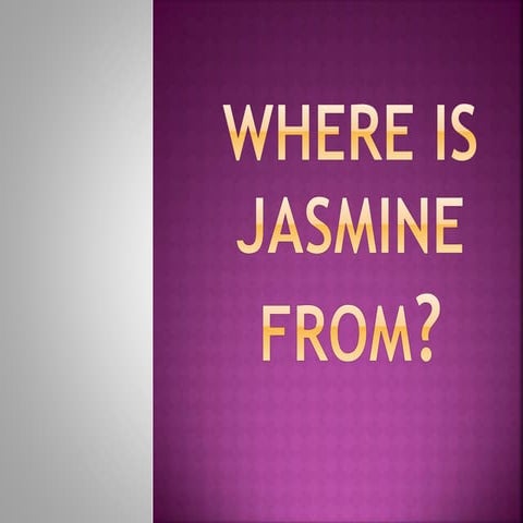 Where is Jasmine from