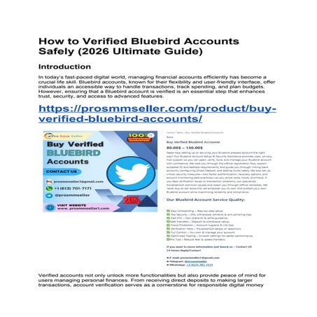 The 2026 Ultimate Guide to Safely Verifying Bluebird Accounts for ...