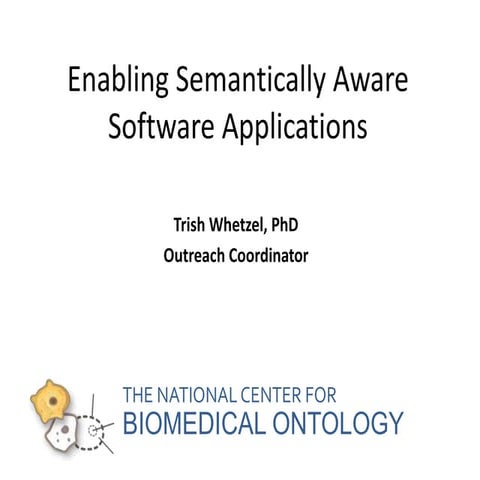 Enabling Semantically Aware Software Applications 