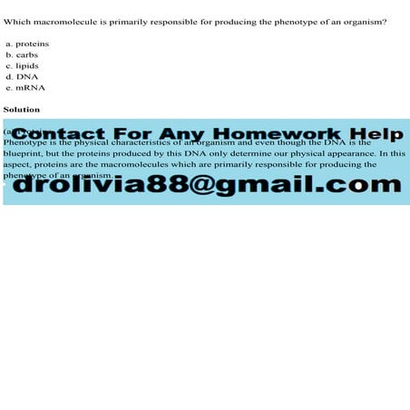 Which macromolecule is primarily responsible for producing the pheno.pdf