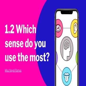 Which sense do you use the most11401.pdf