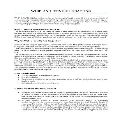 Whip and tongue grafting