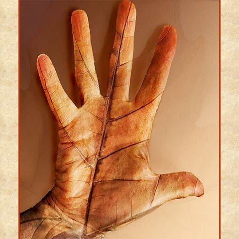 Whispers Among The Leaves - 2009