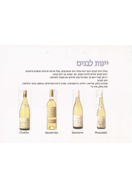 Red Wine Intro | PDF