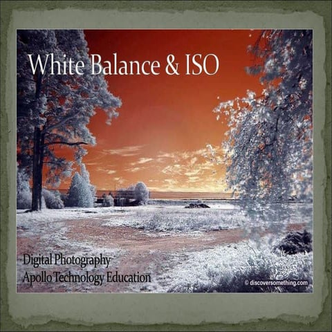 White Balance & Iso