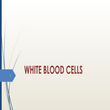 White blood cells from beginning to end. | PPTX