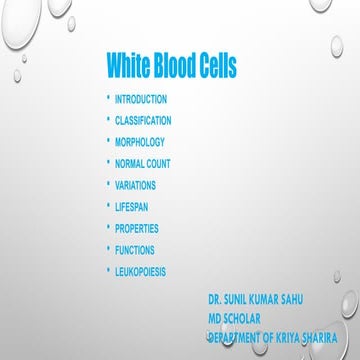 Morphology of white blood cells | PPT