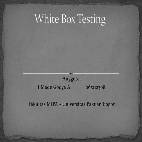 White Box Testing