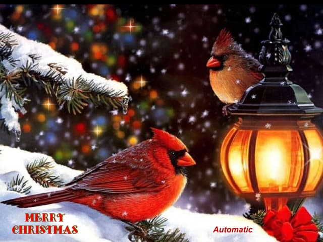 White Christmas ( Nikos )