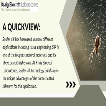 Testing Spider Silk-Based Protective Applications| Renowned Laboratory ...