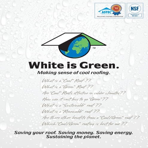 White is green brochure